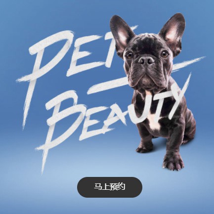 延吉宠物中心小程序开发